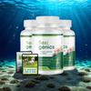 Flexigenics - 3 Bottles + 2  Ebooks
