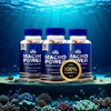 Macho Power - 3 Bottles