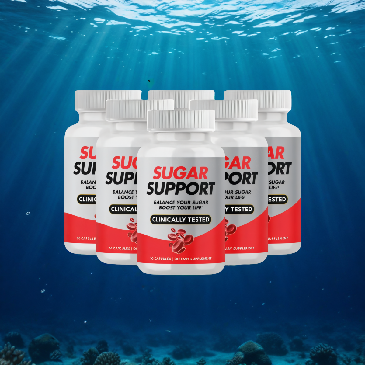 Sugar Support - 6 Bottles